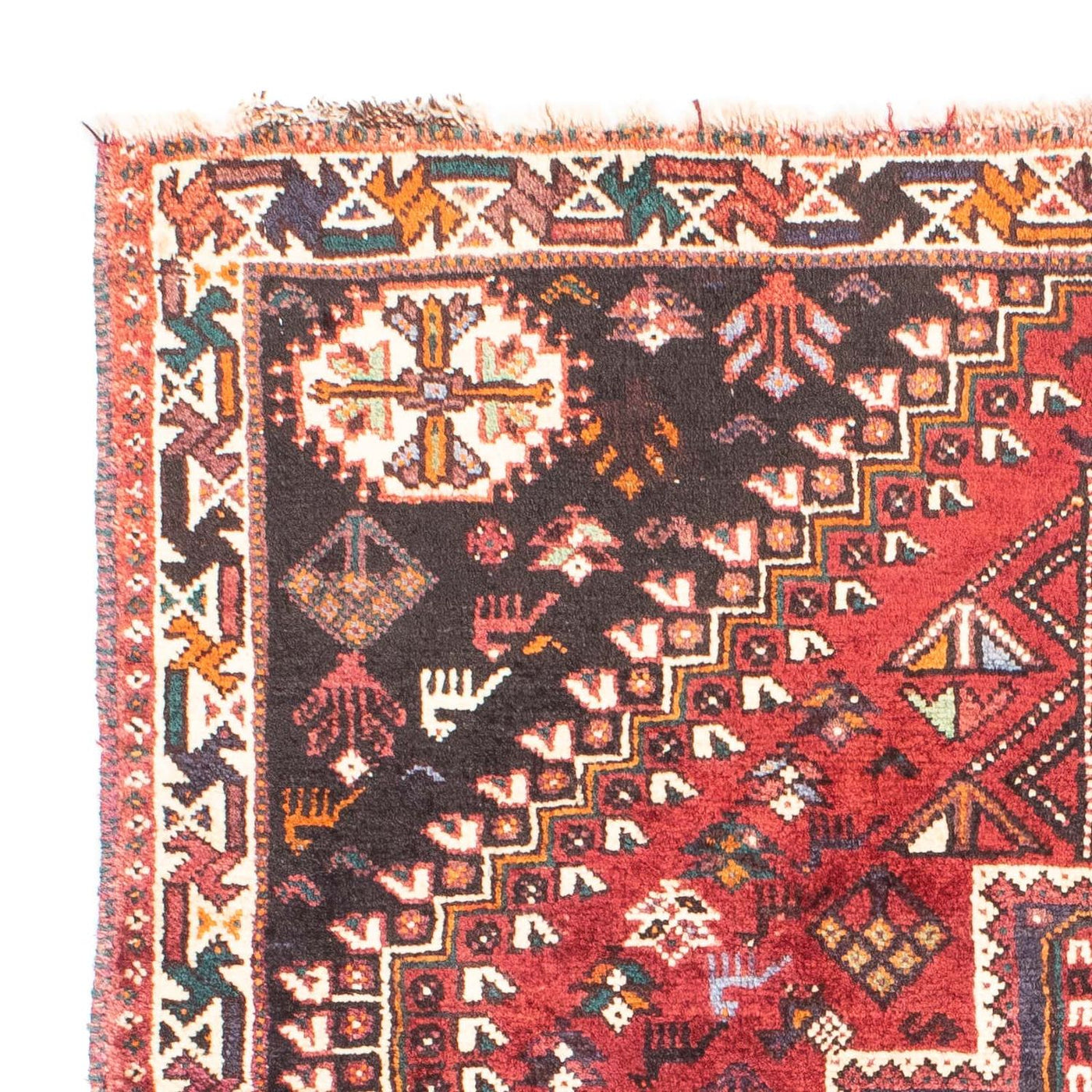 Shiraz Tappeto 163x112cm - Tappeto persiano