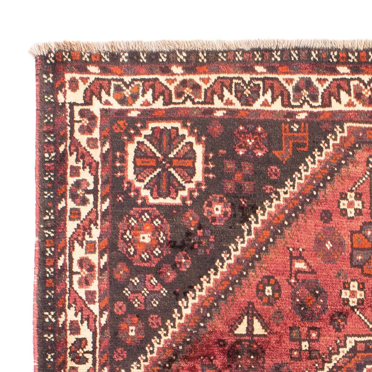 Shiraz Tappeto 118x164cm - Tappeto persiano