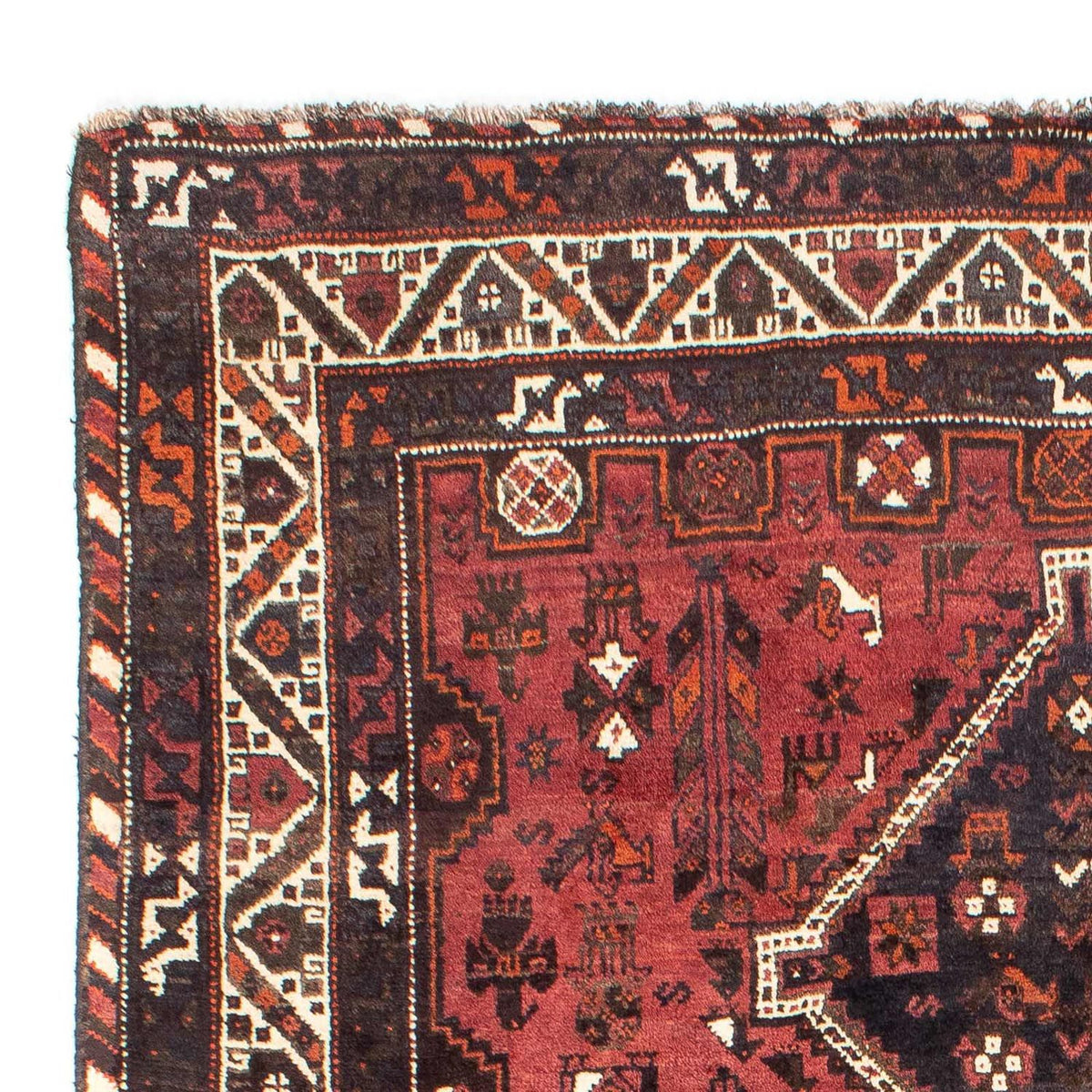 Shiraz Tappeto 210x307cm - Tappeto persiano