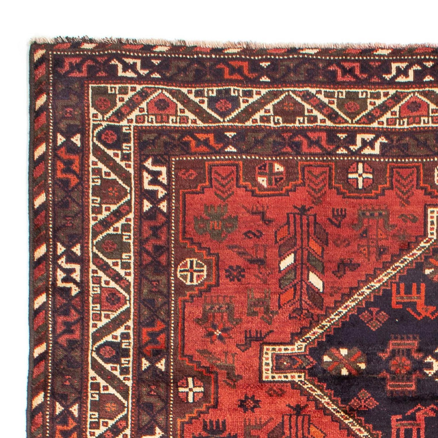 Shiraz Tappeto 312x221cm - Tappeto persiano
