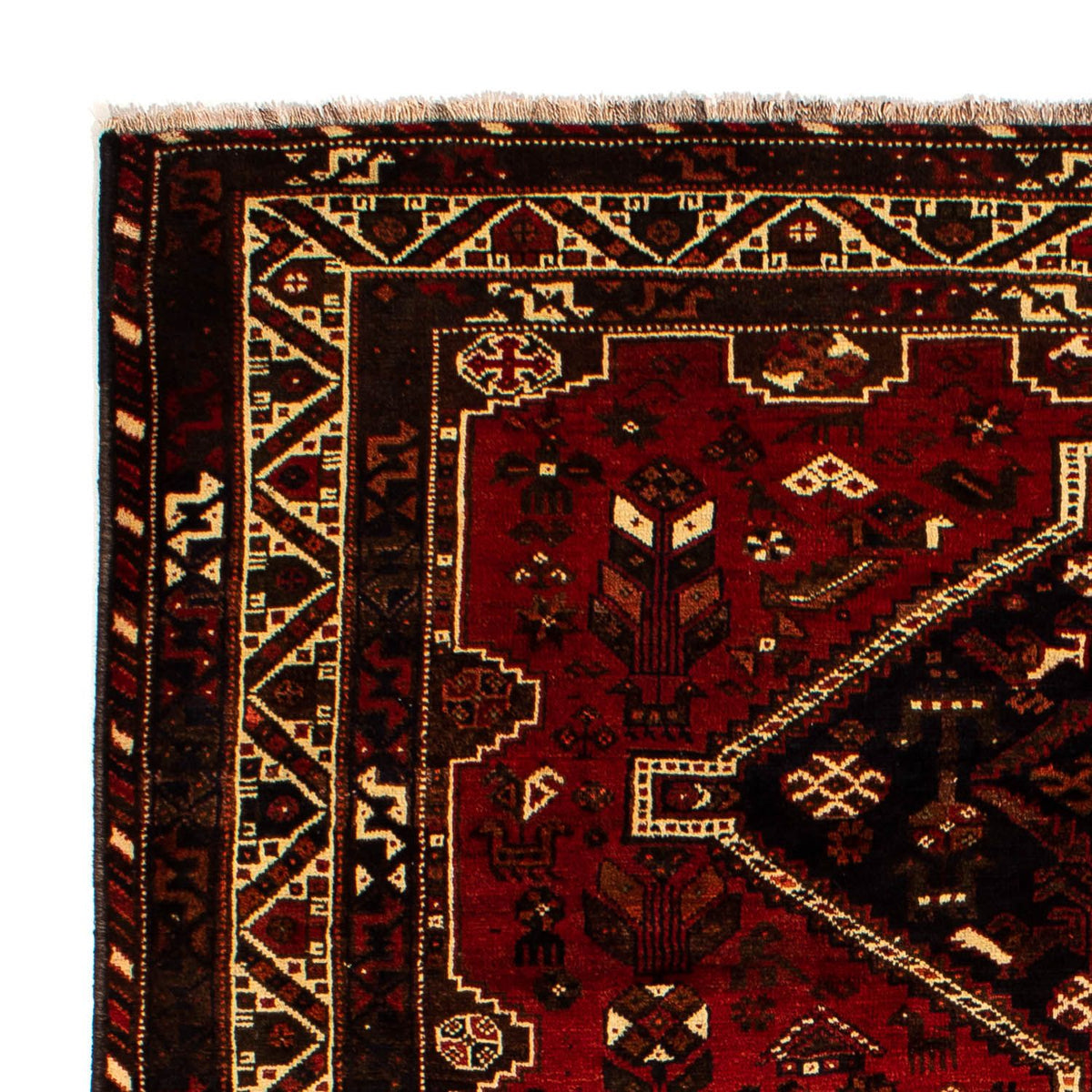 Shiraz Tappeto 213x295cm - Tappeto persiano