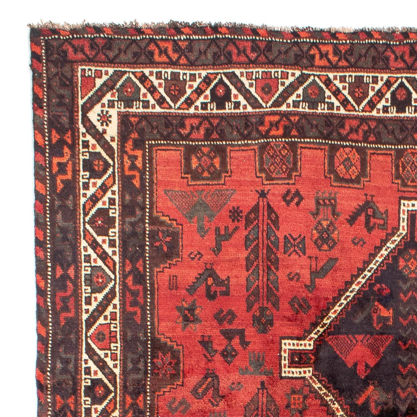 Shiraz Tappeto 318x206cm - Tappeto persiano