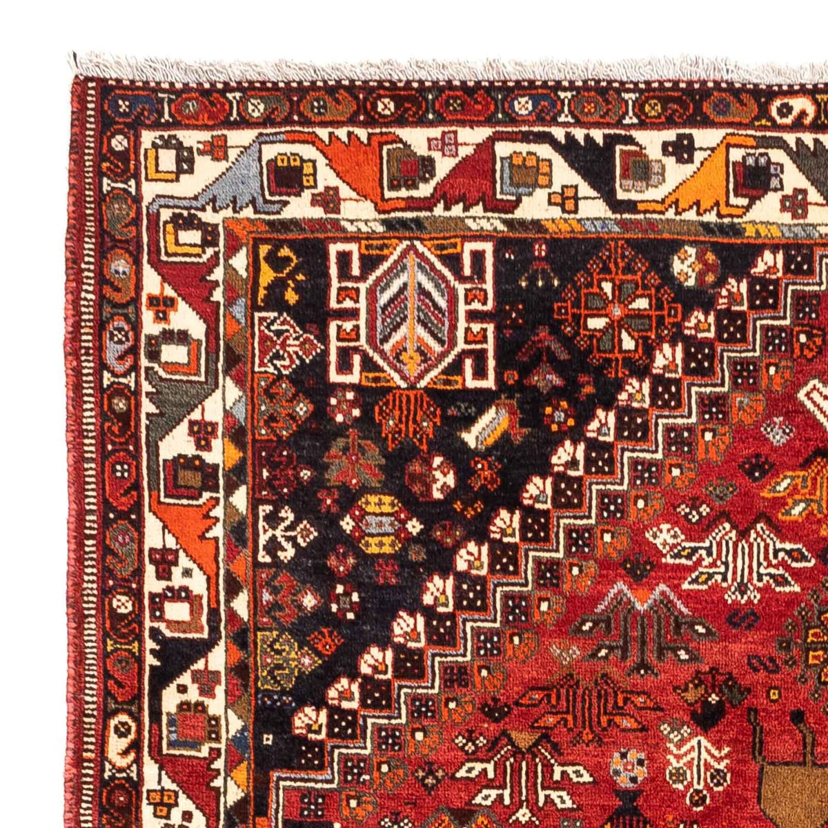 Shiraz Tappeto 183x257cm - Tappeto persiano