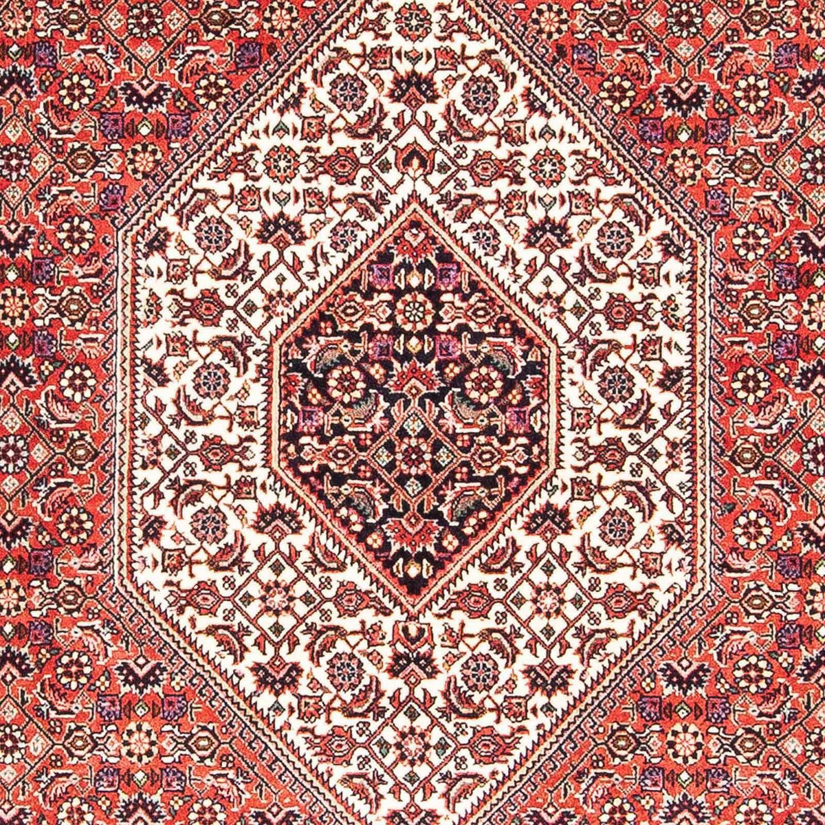 Tappeto Persero - Bidjar - 170 x 110 cm - rosso