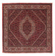 Bidjar Tappeto 152x148cm - Tappeto persiano