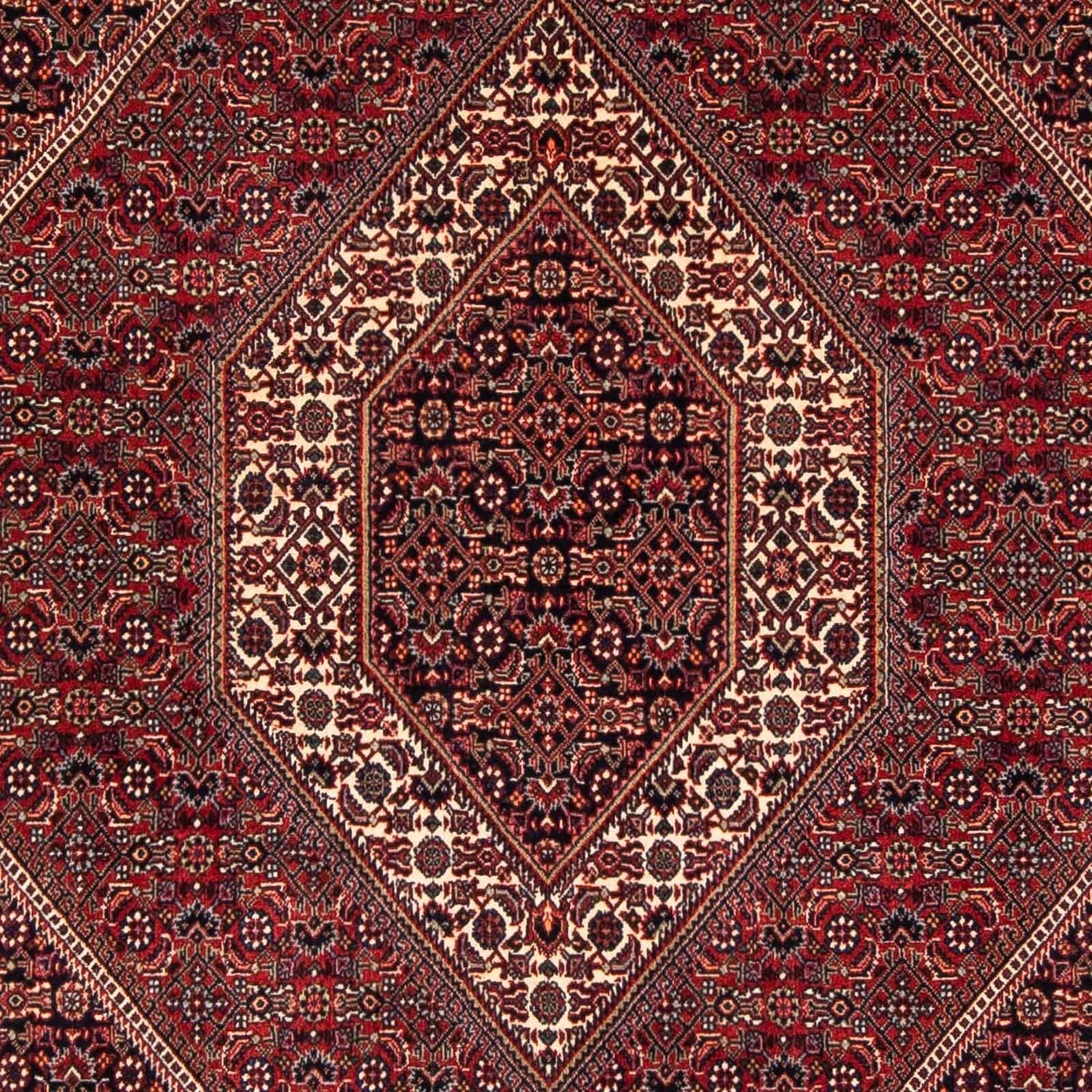 Tappeto Persero - Bidjar quadrato  - 152 x 148 cm - rosso scuro
