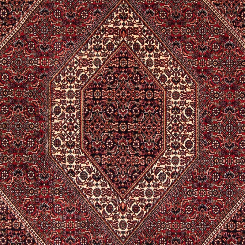 Tappeto Persero - Bidjar quadrato  - 152 x 148 cm - rosso scuro