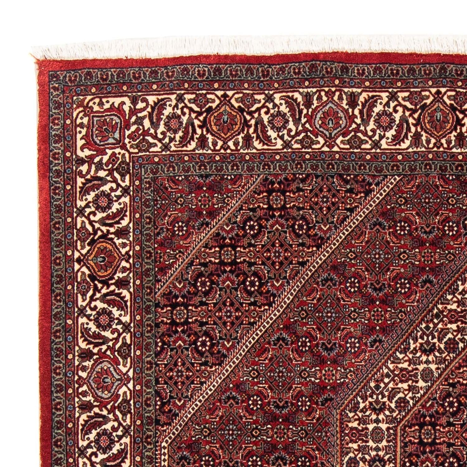 Tappeto Persero - Bidjar quadrato  - 152 x 148 cm - rosso scuro