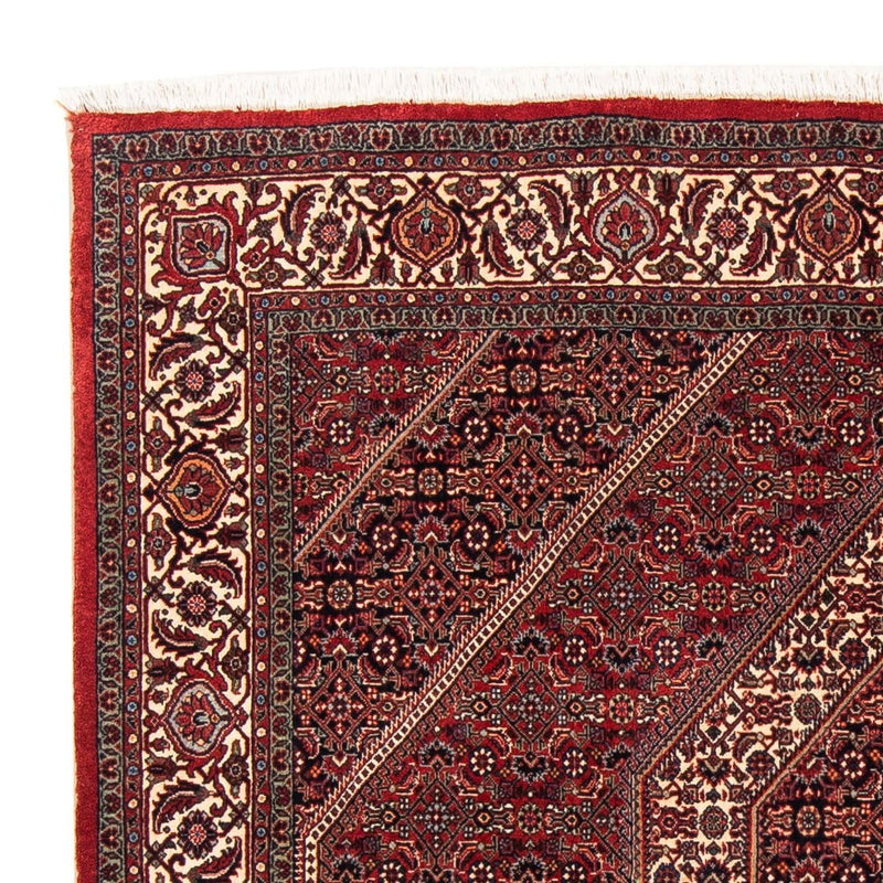 Tappeto Persero - Bidjar quadrato  - 152 x 148 cm - rosso scuro