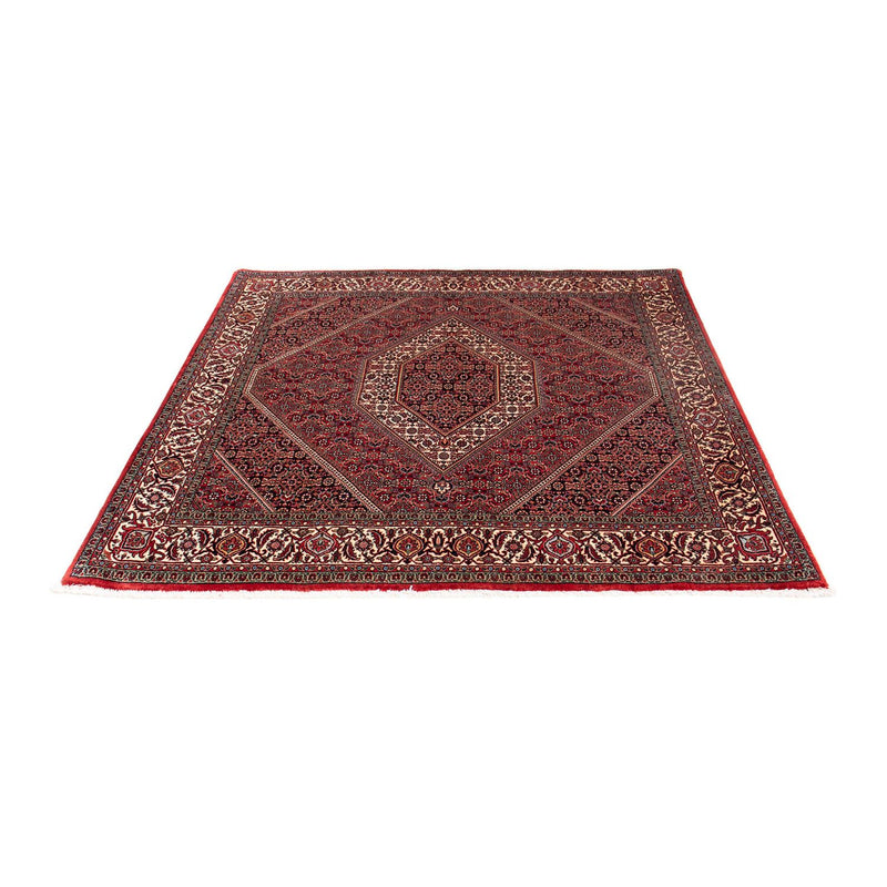 Tappeto Persero - Bidjar quadrato  - 152 x 148 cm - rosso scuro