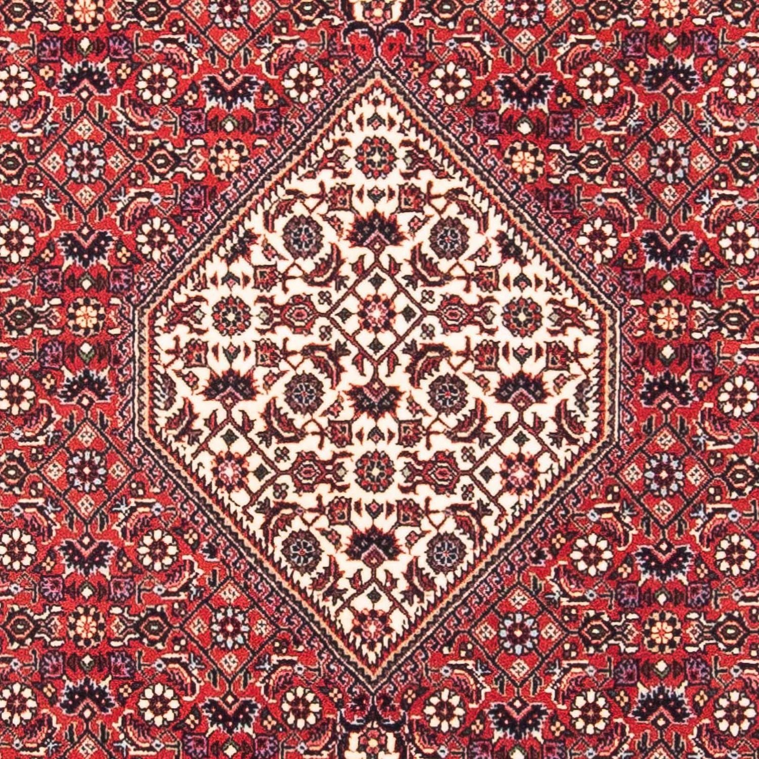 Tappeto Persero - Bidjar quadrato  - 115 x 101 cm - rosso