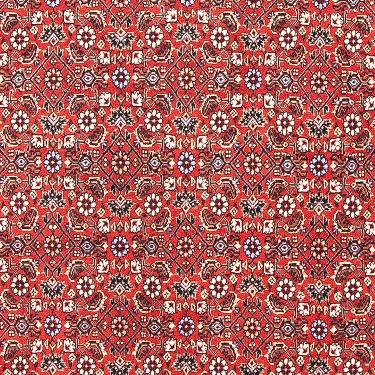 Tappeto Persero - Bidjar quadrato  - 98 x 97 cm - rosso