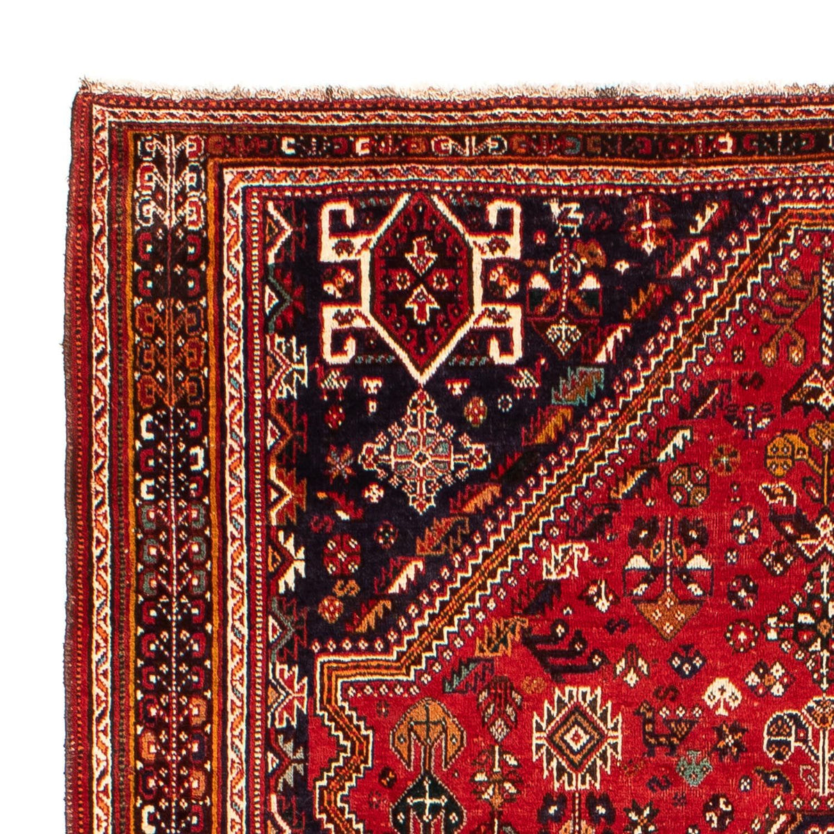 Shiraz Tappeto 189x298cm - Tappeto persiano