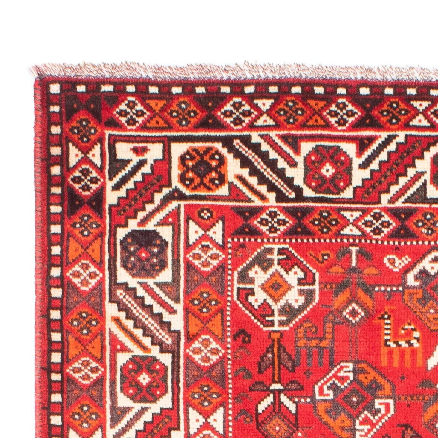 Shiraz Tappeto 159x110cm - Tappeto persiano