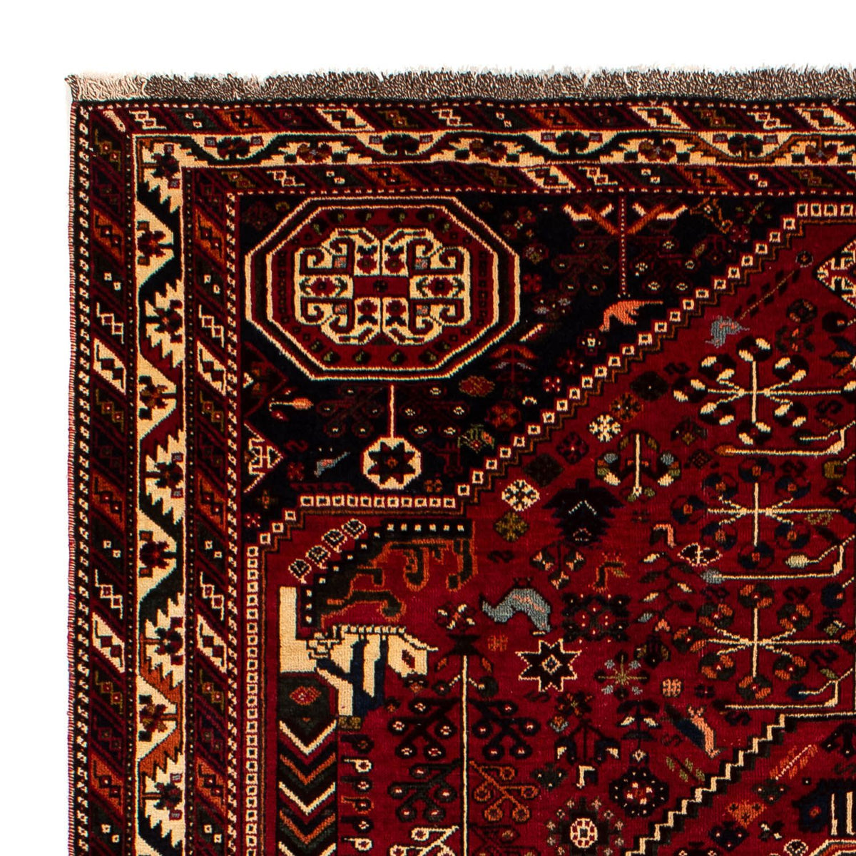 Shiraz Tappeto 211x293cm - Tappeto persiano