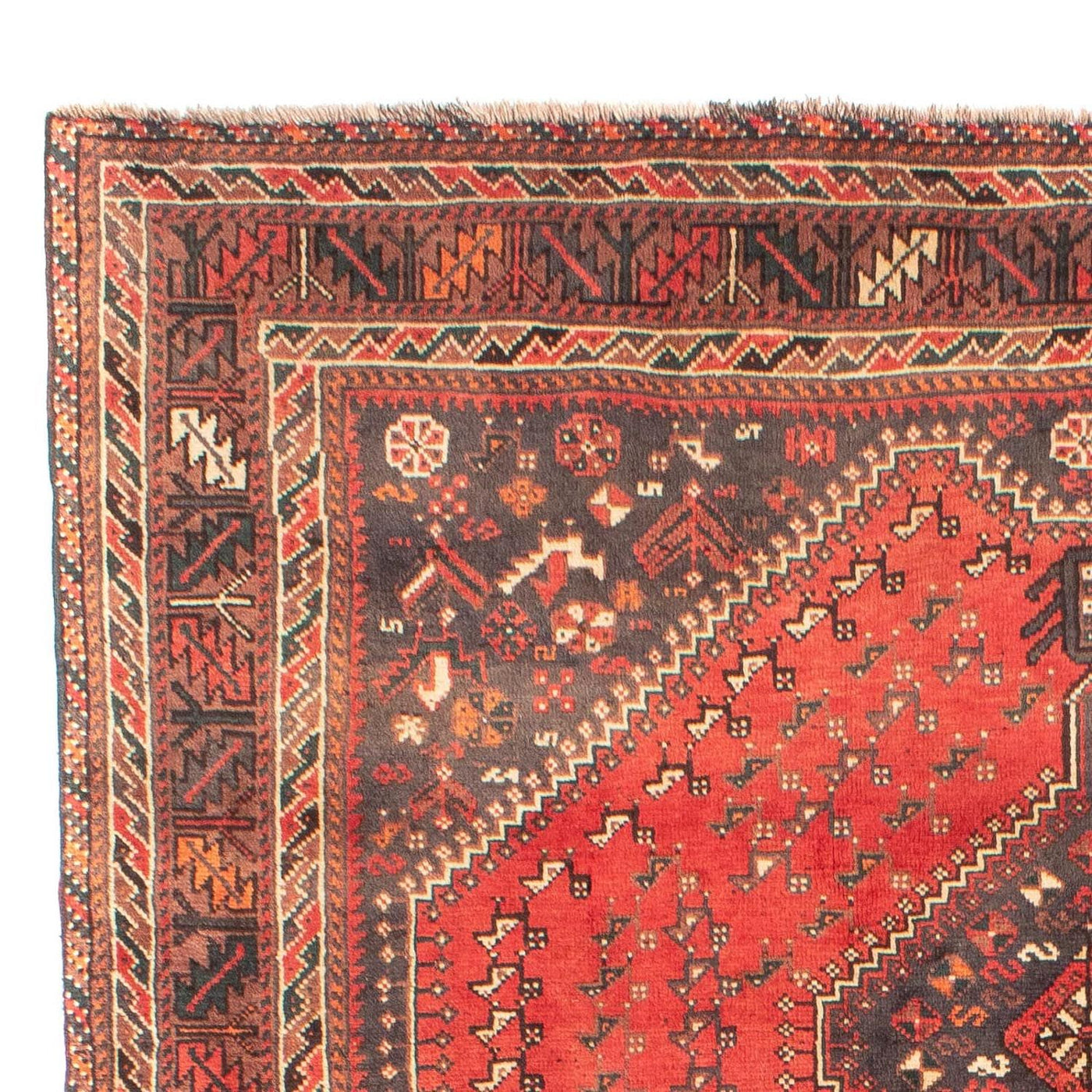 Shiraz Tappeto 279x203cm - Tappeto persiano