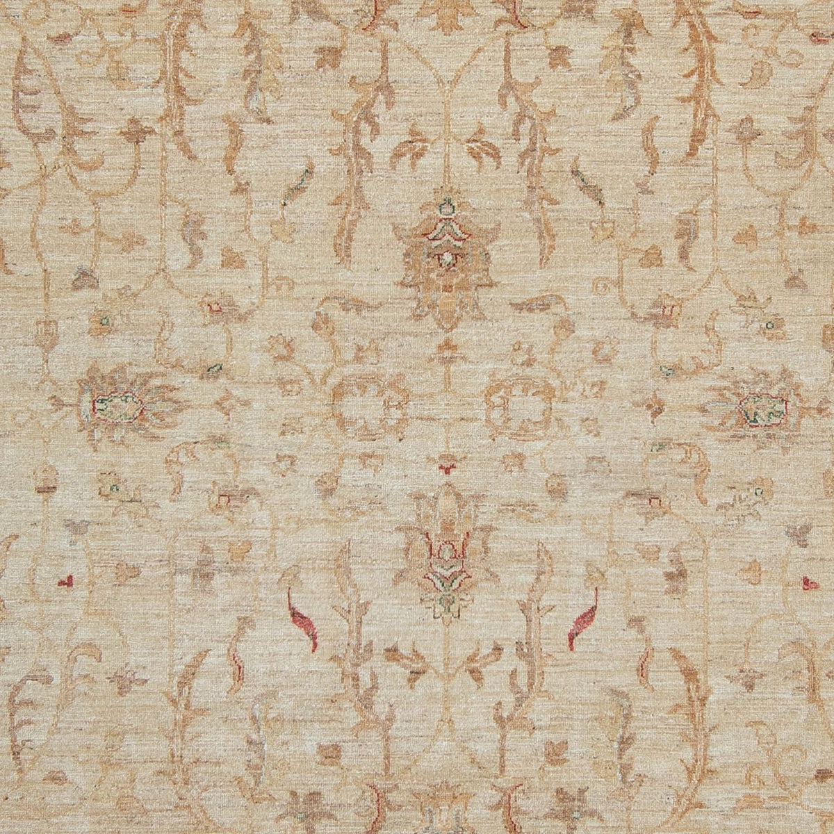 Tappeto Ziegler - 347 x 245 cm - beige chiaro