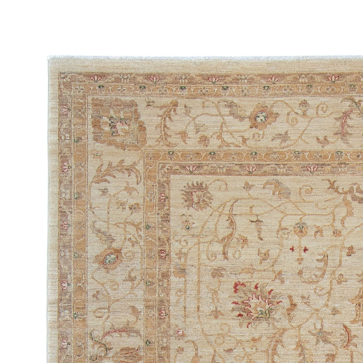 Tappeto Ziegler - 347 x 245 cm - beige chiaro