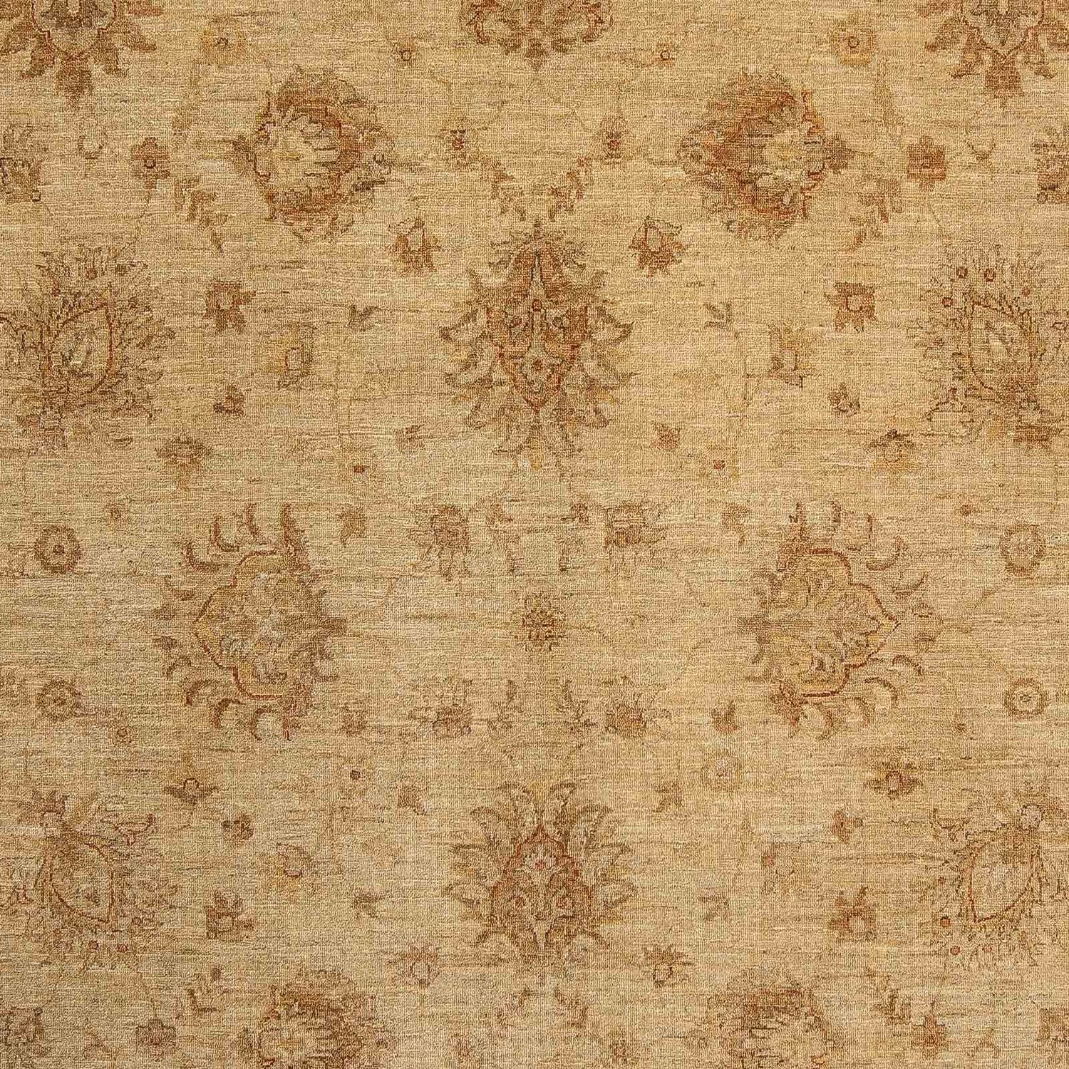 Tappeto Ziegler - 290 x 246 cm - marrone chiaro