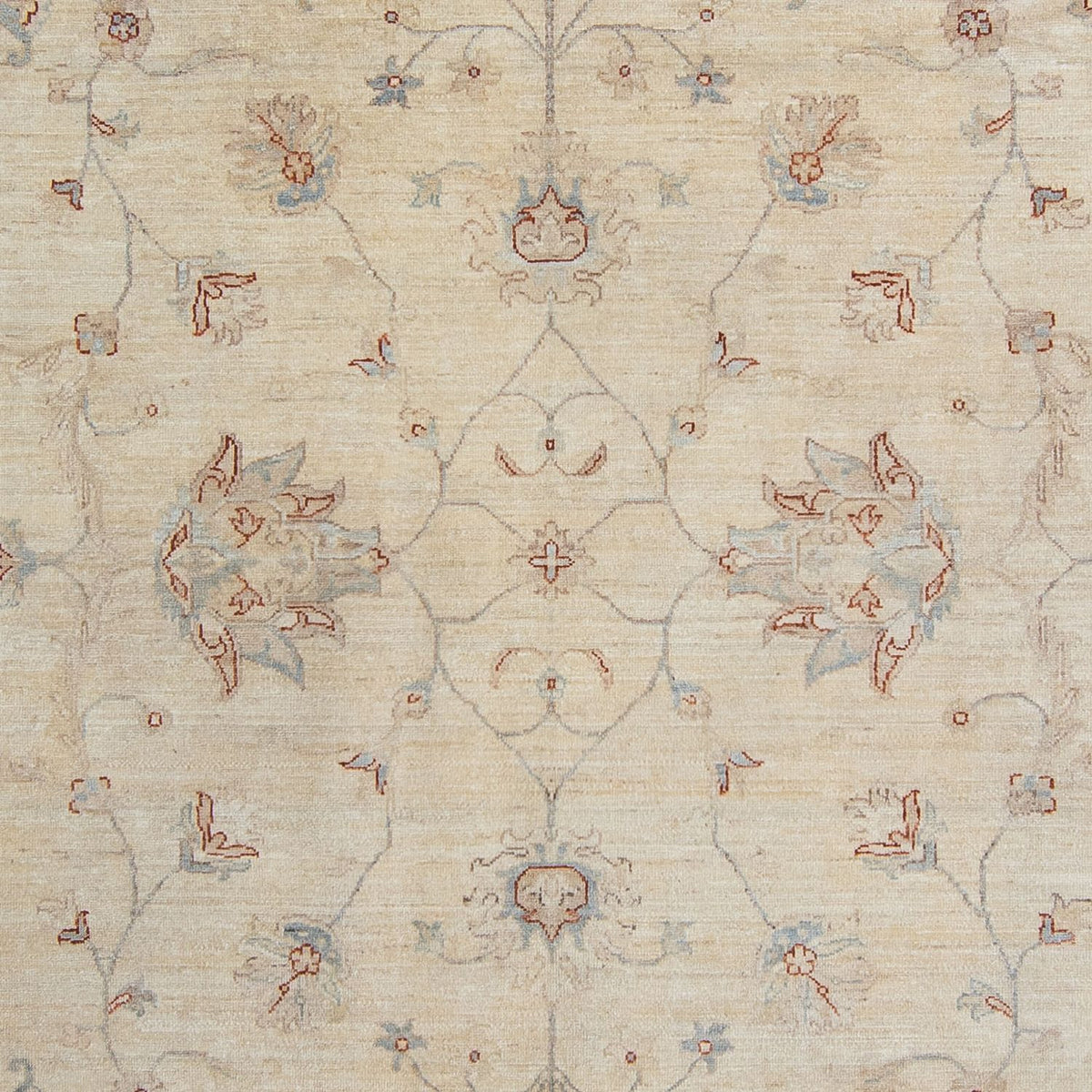 Tappeto Ziegler - 347 x 250 cm - beige chiaro