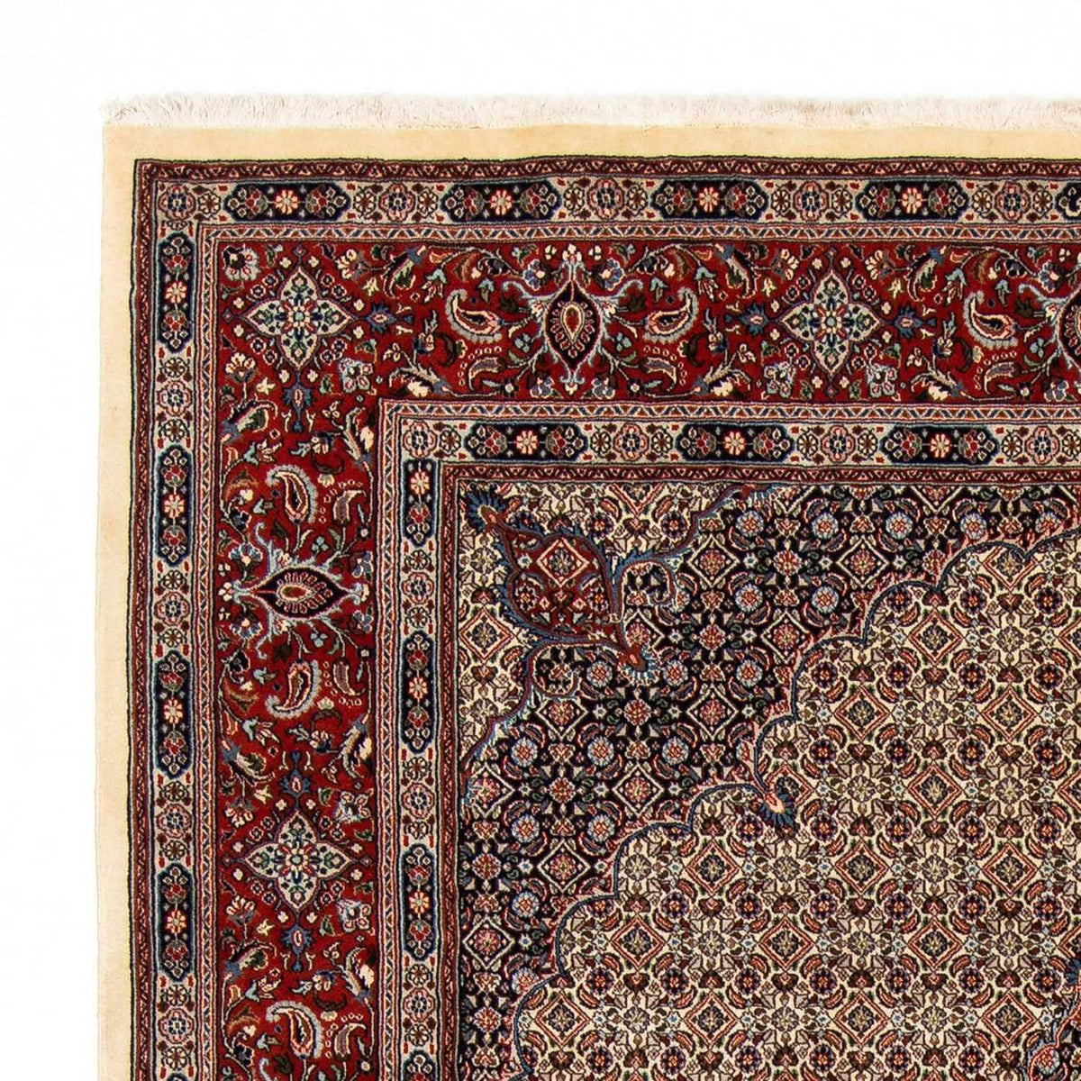 Moud Tappeto 204x294cm - Tappeto persiano