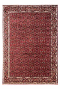Tappeto Persero - Bidjar - 345 x 253 cm - rosso