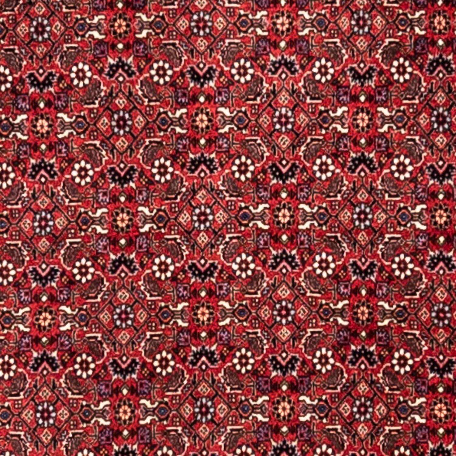 Tappeto Persero - Bidjar - 345 x 253 cm - rosso