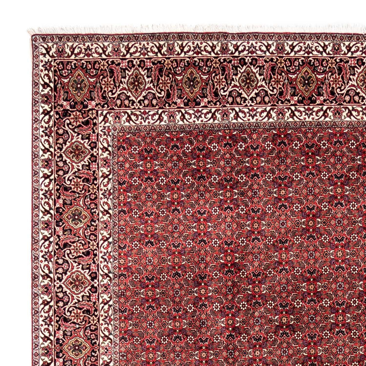 Tappeto Persero - Bidjar - 345 x 253 cm - rosso