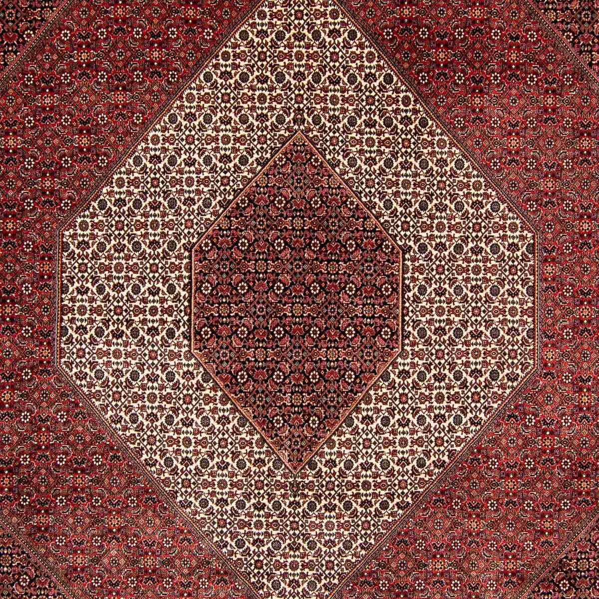 Tappeto Persero - Bidjar - 397 x 296 cm - rosso scuro