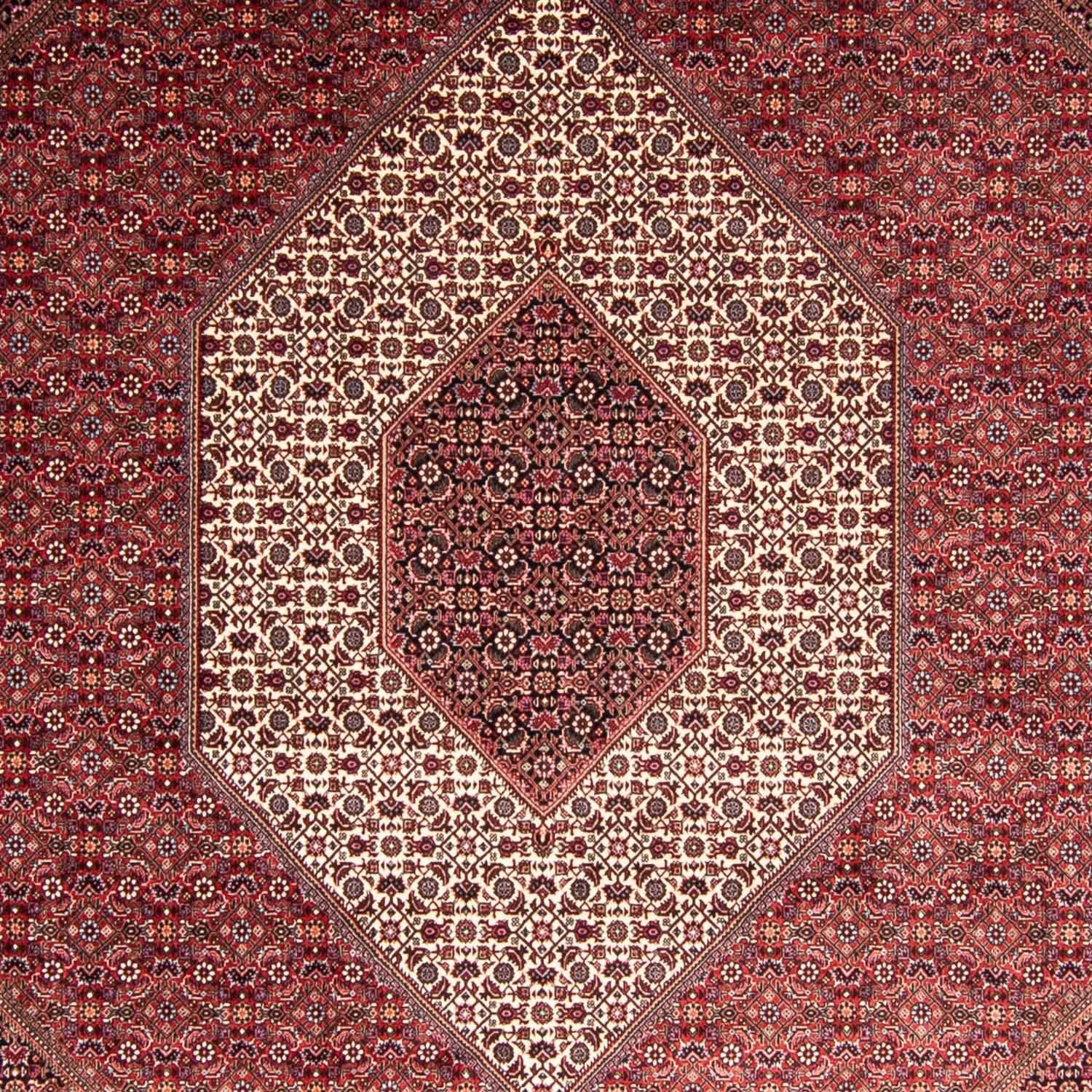 Tappeto Persero - Bidjar - 344 x 254 cm - rosso chiaro