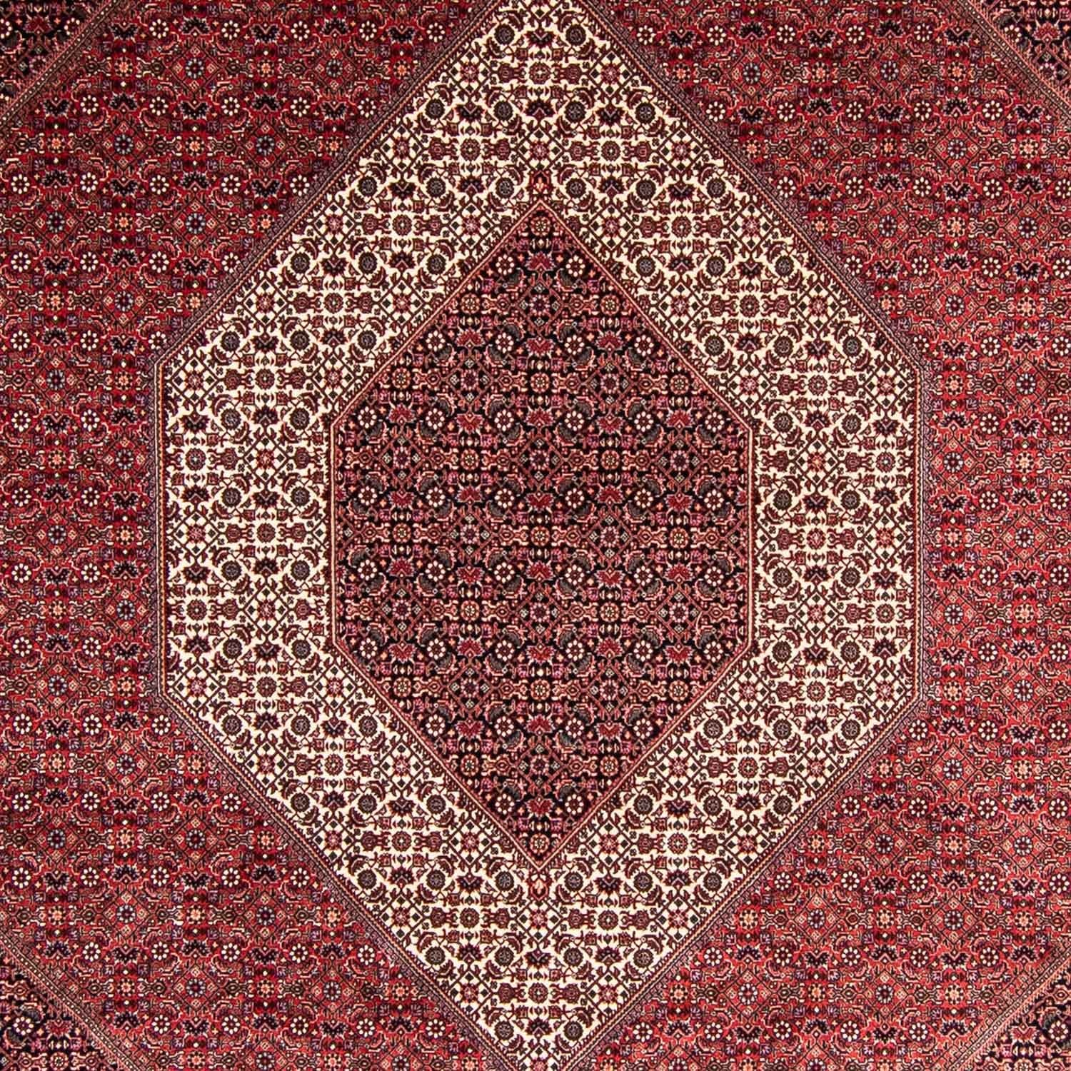 Tappeto Persero - Bidjar - 351 x 254 cm - rosso chiaro