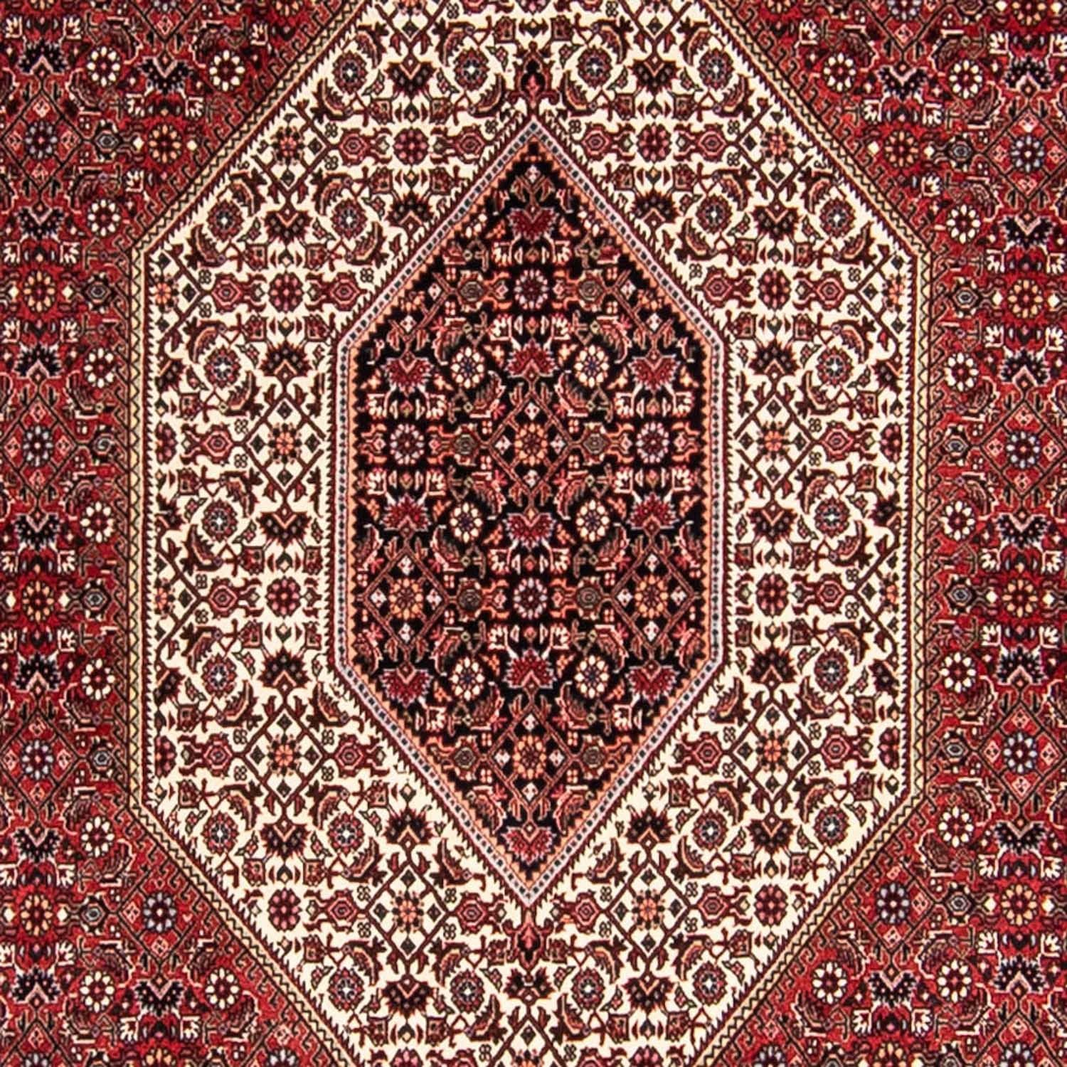 Tappeto Persero - Bidjar - 300 x 252 cm - rosso chiaro