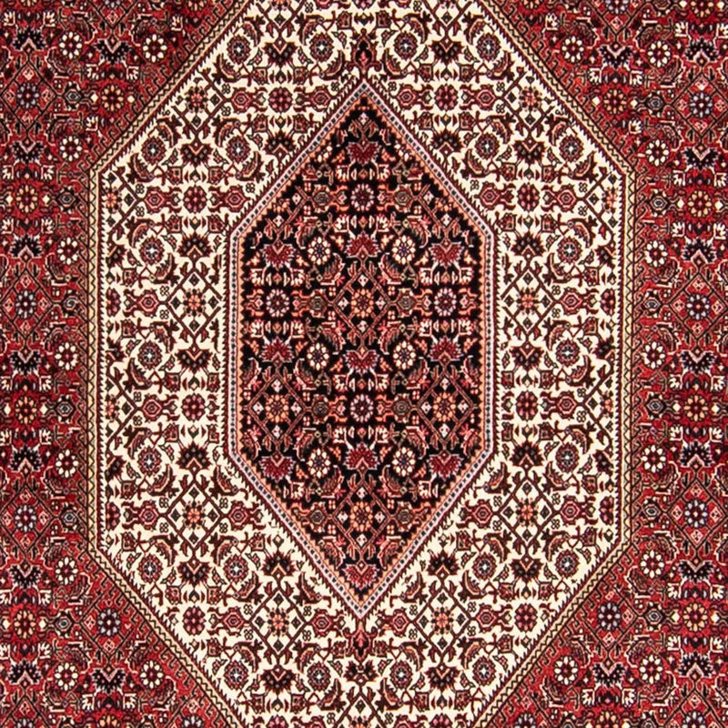 Tappeto Persero - Bidjar - 300 x 252 cm - rosso chiaro