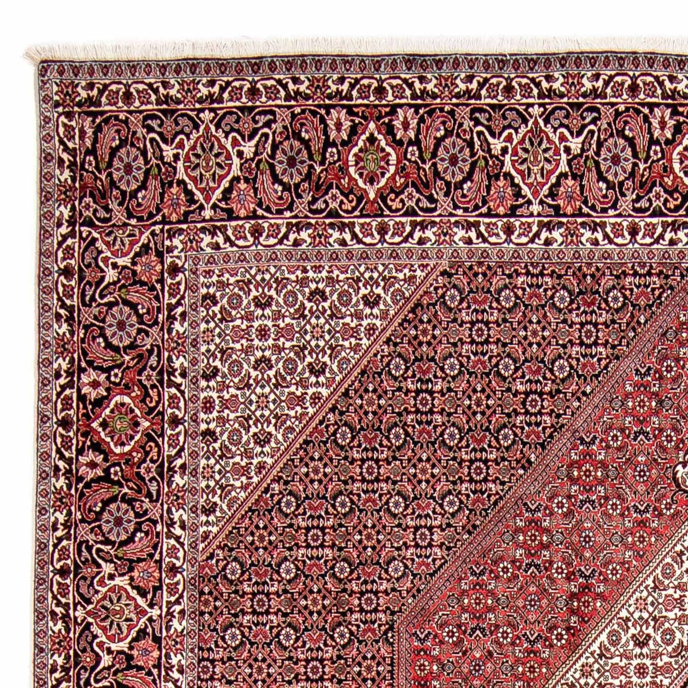Bidjar Tappeto 300x252cm - Tappeto persiano