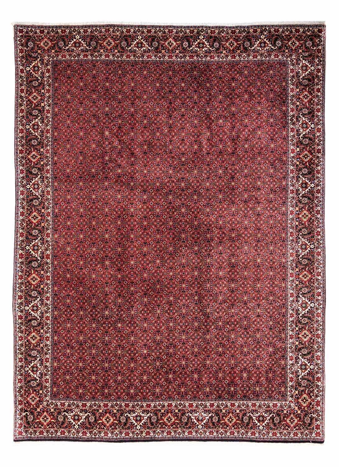 Tappeto Persero - Bidjar - 338 x 250 cm - rosso
