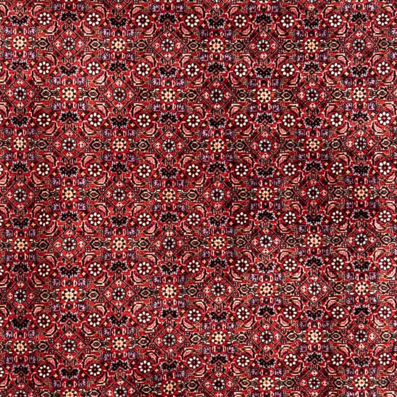Tappeto Persero - Bidjar - 338 x 250 cm - rosso