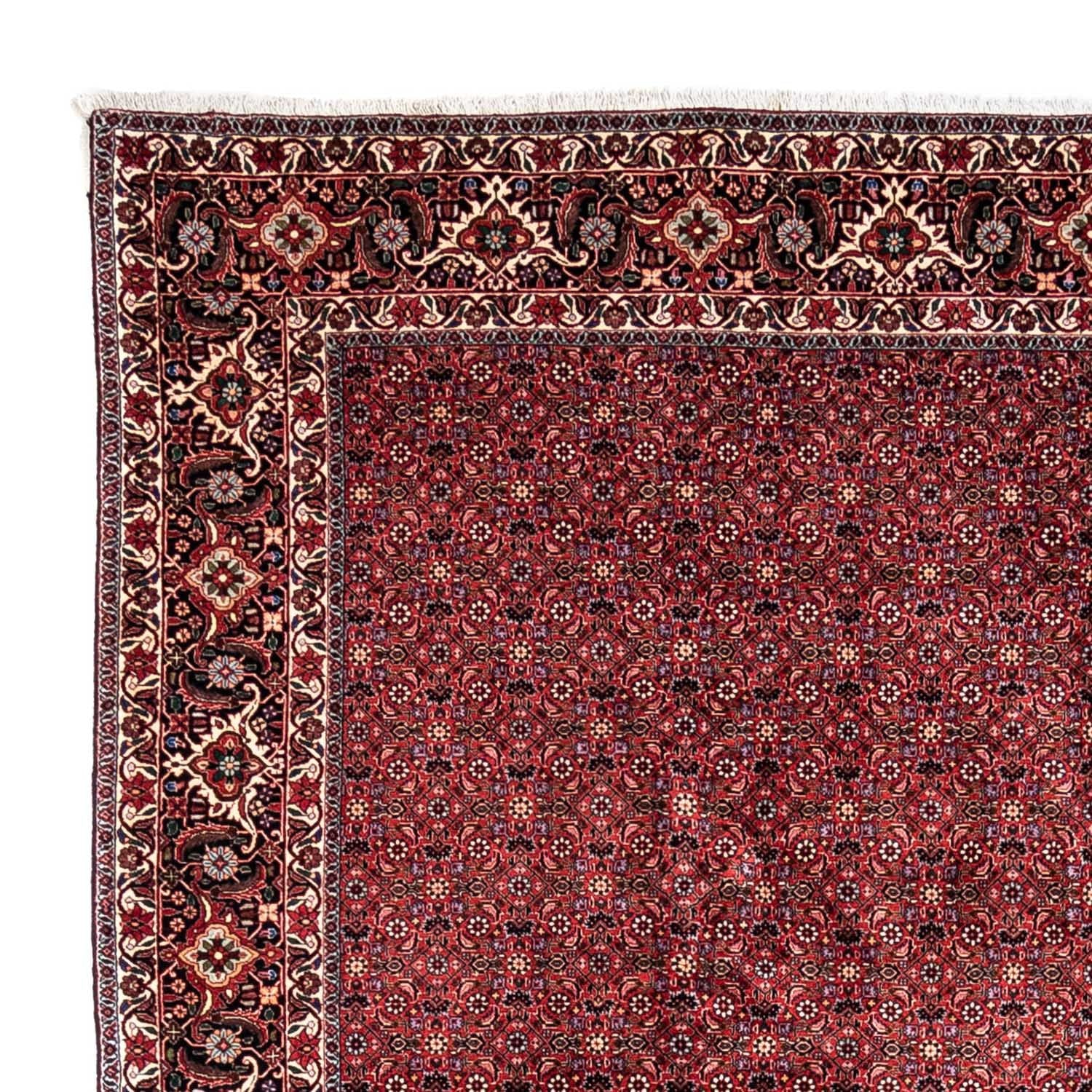 Tappeto Persero - Bidjar - 338 x 250 cm - rosso