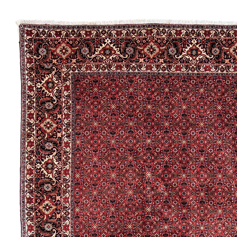 Tappeto Persero - Bidjar - 338 x 250 cm - rosso