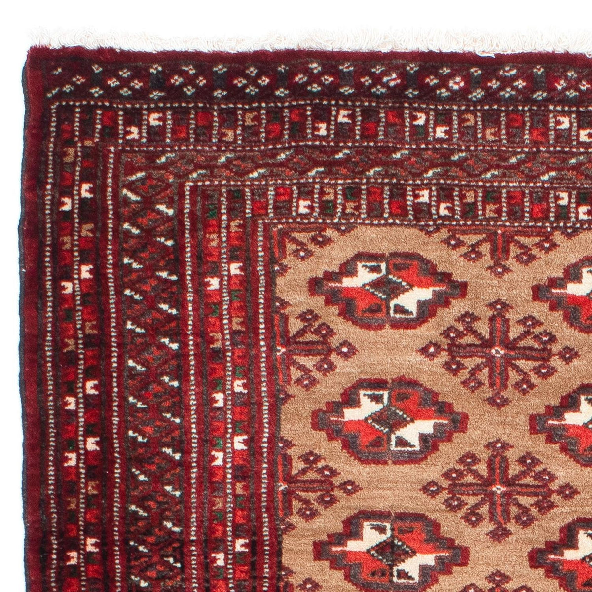 Tappeto Belutsch - 154 x 98 cm - marrone