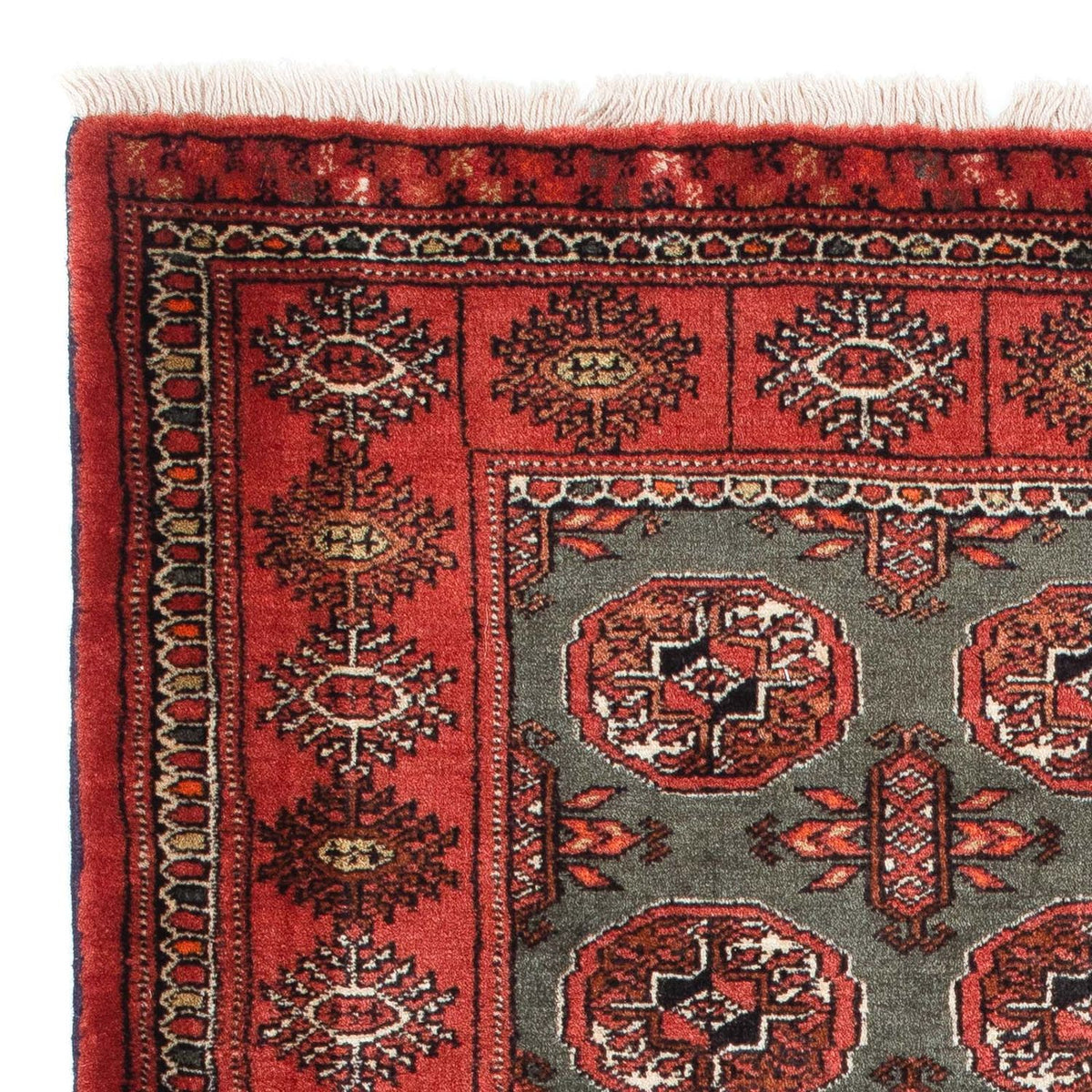 Tappeto Belutsch 97x158cm - Tappeto orientale