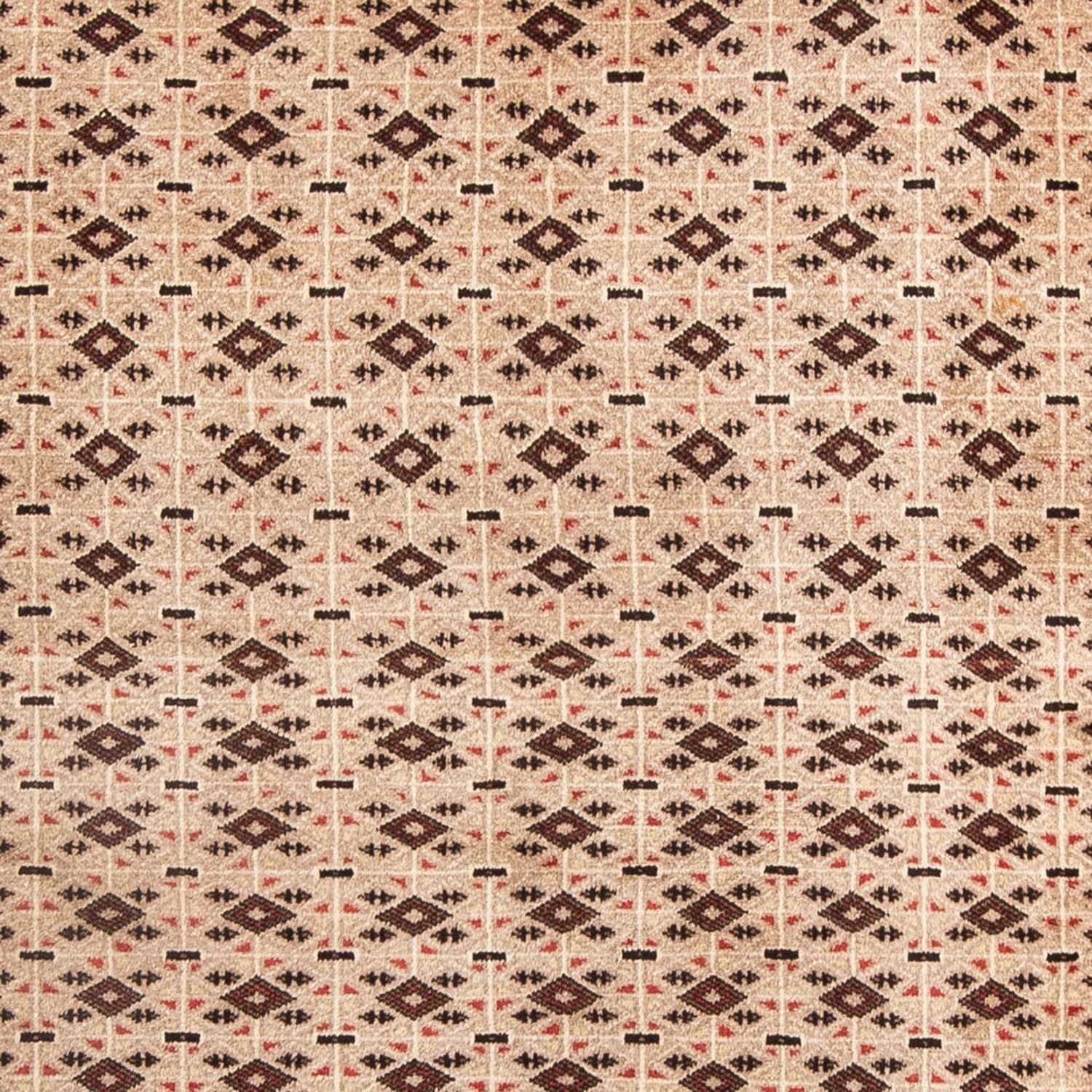 Tappeto Belutsch - 181 x 134 cm - beige
