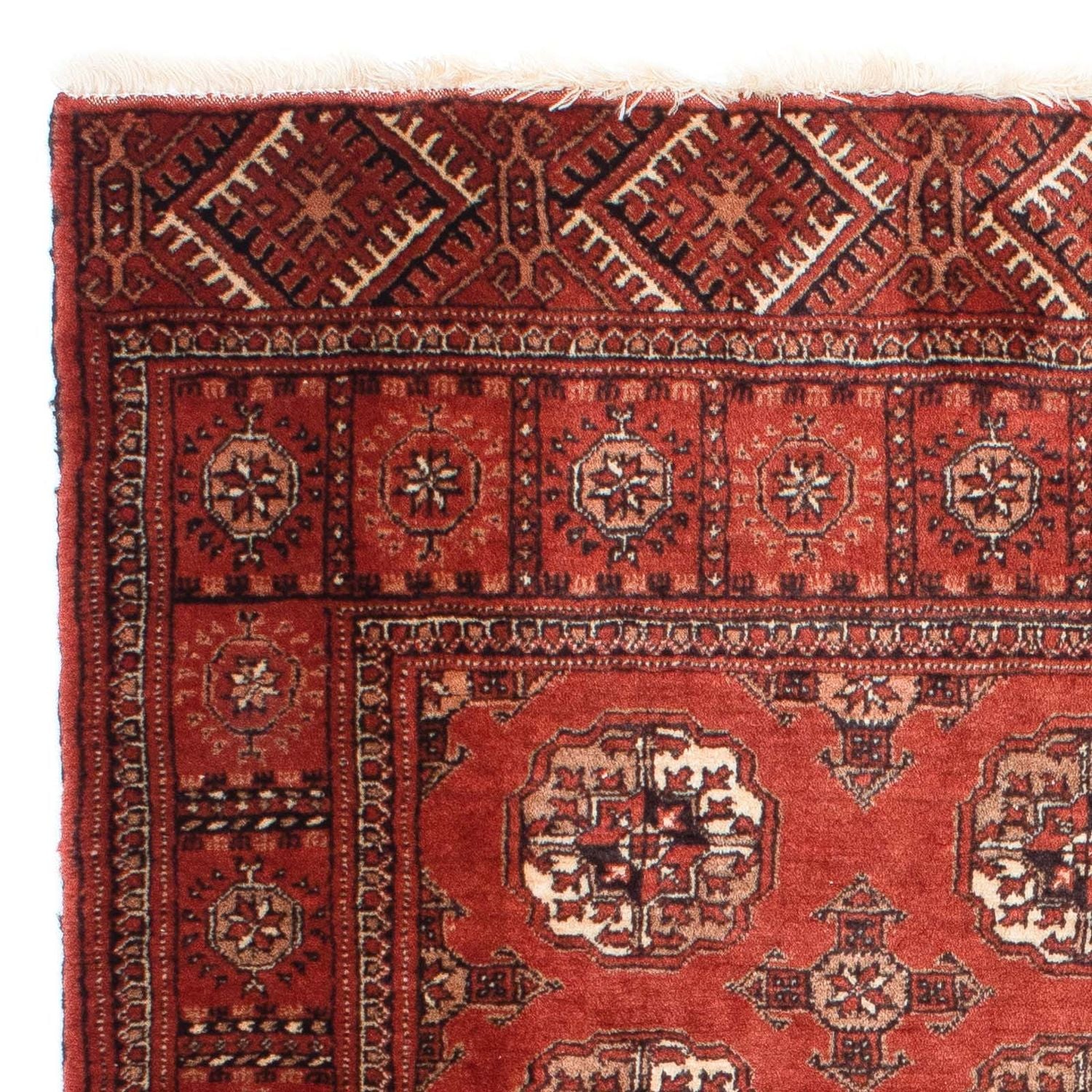 Tappeto Belutsch - 143 x 121 cm - rosso scuro