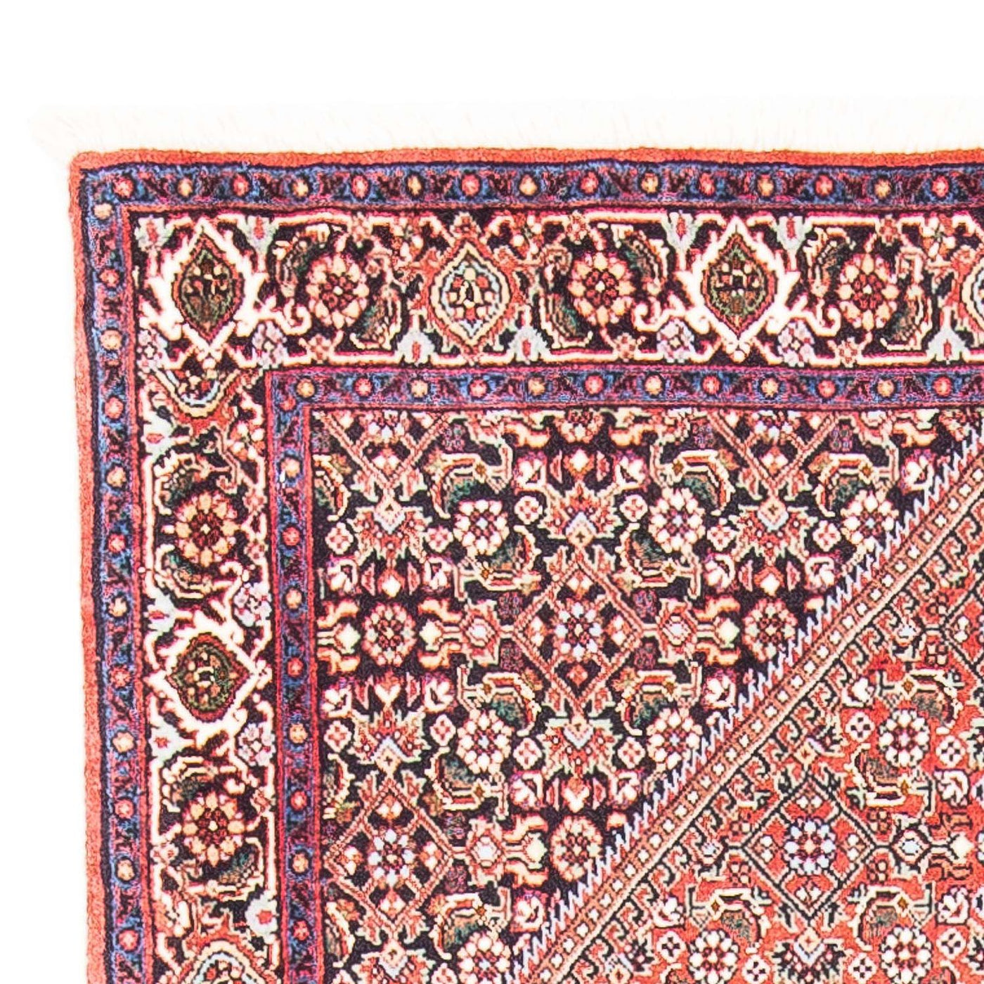 Bidjar Tappeto 156x88cm - Tappeto persiano