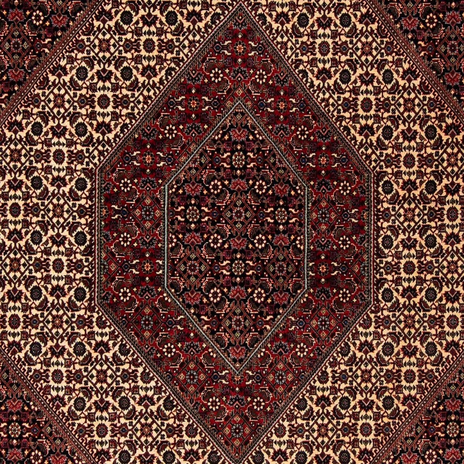 Tappeto Persero - Bidjar - 248 x 202 cm - rosso scuro