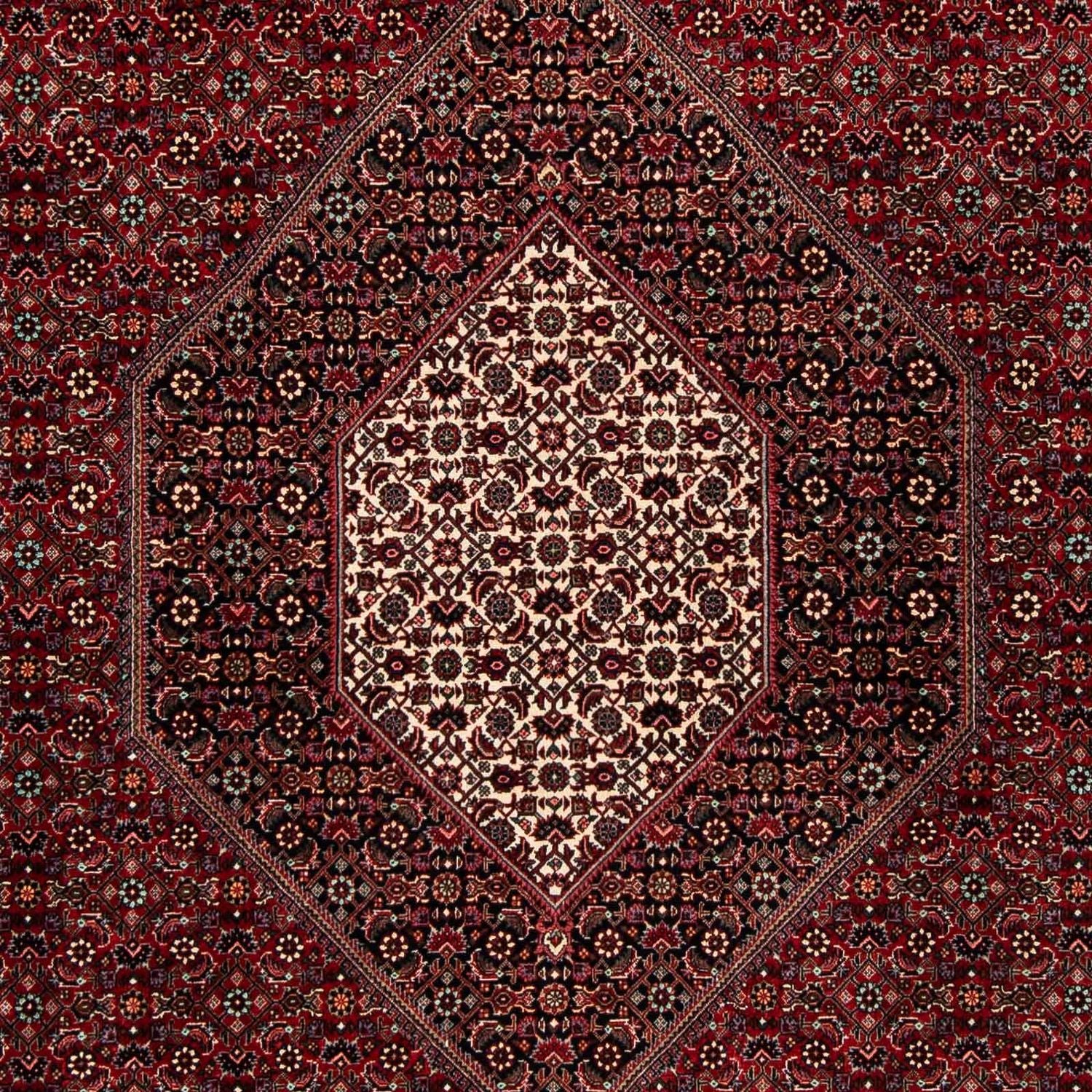 Tappeto Persero - Bidjar - 258 x 202 cm - rosso scuro