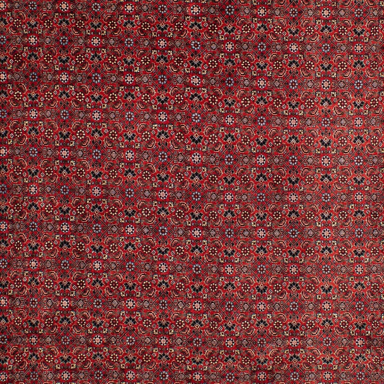 Tappeto Persero - Bidjar - 295 x 203 cm - rosso scuro