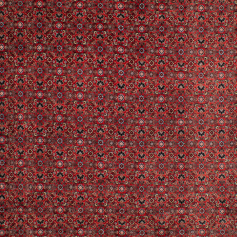 Tappeto Persero - Bidjar - 295 x 203 cm - rosso scuro