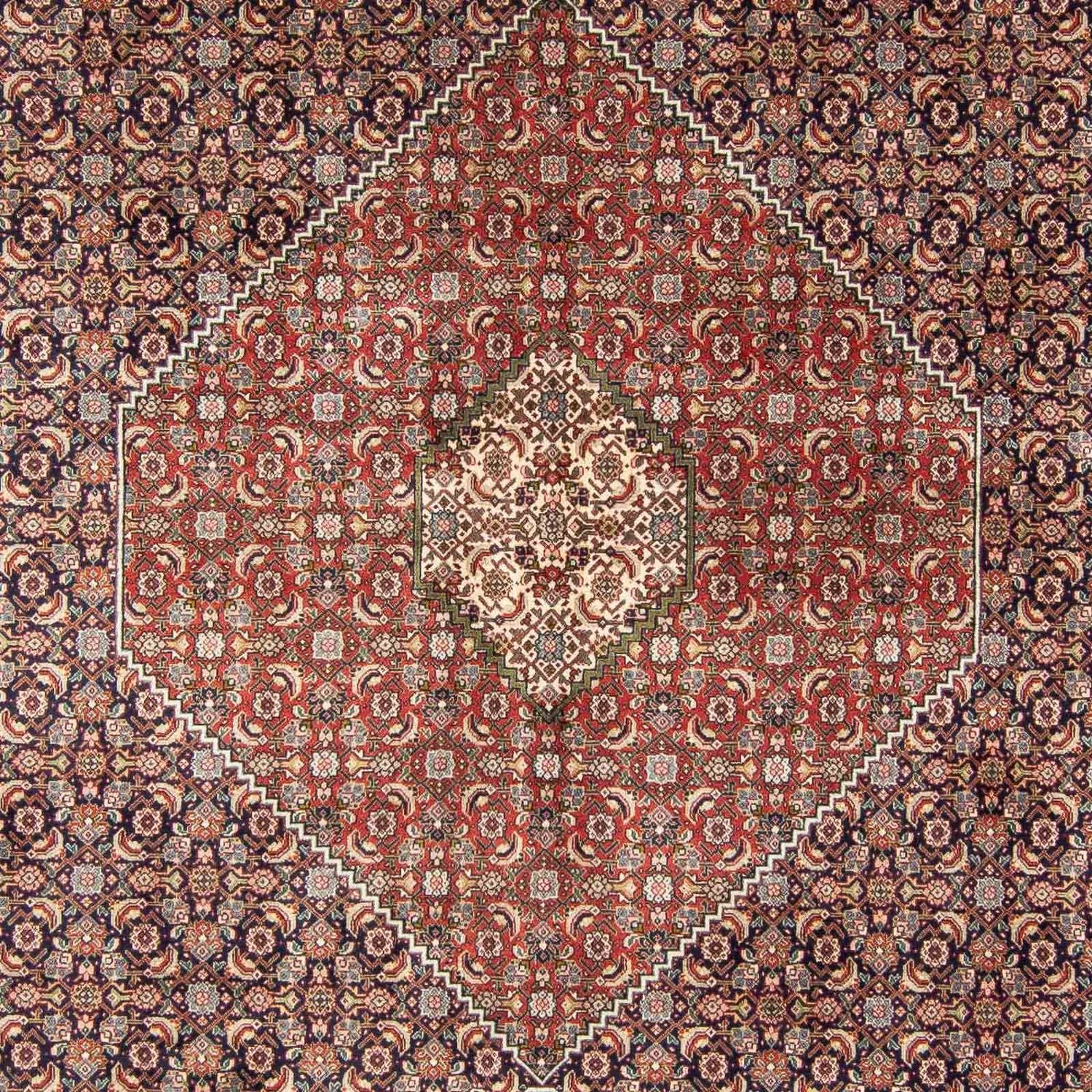 Tappeto Persero - Tabriz - 343 x 247 cm - multicolore