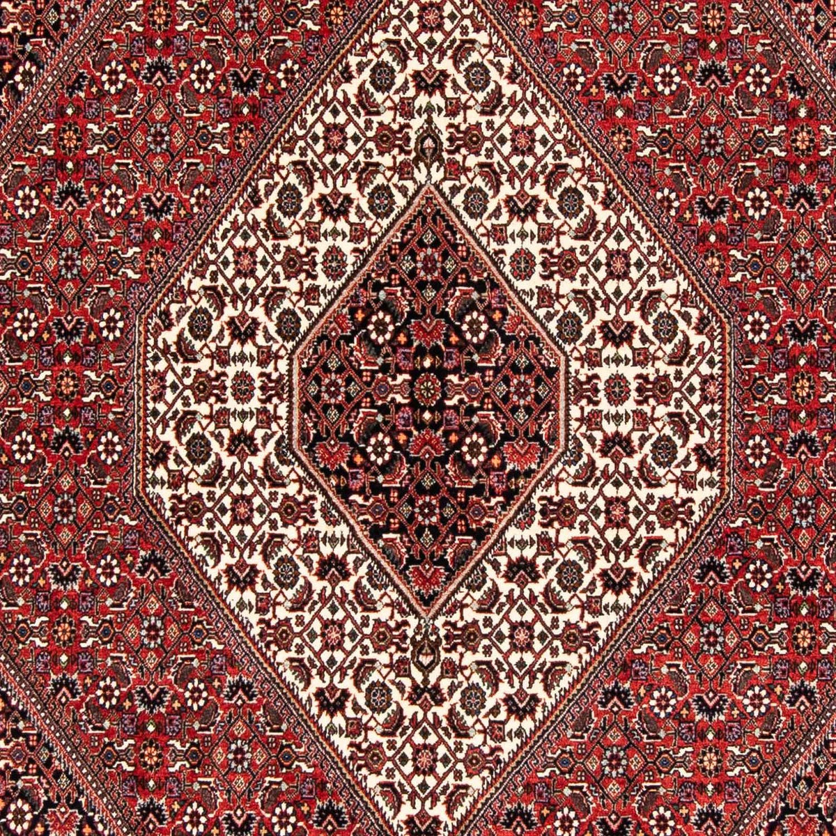 Tappeto Persero - Bidjar - 243 x 170 cm - rosso chiaro