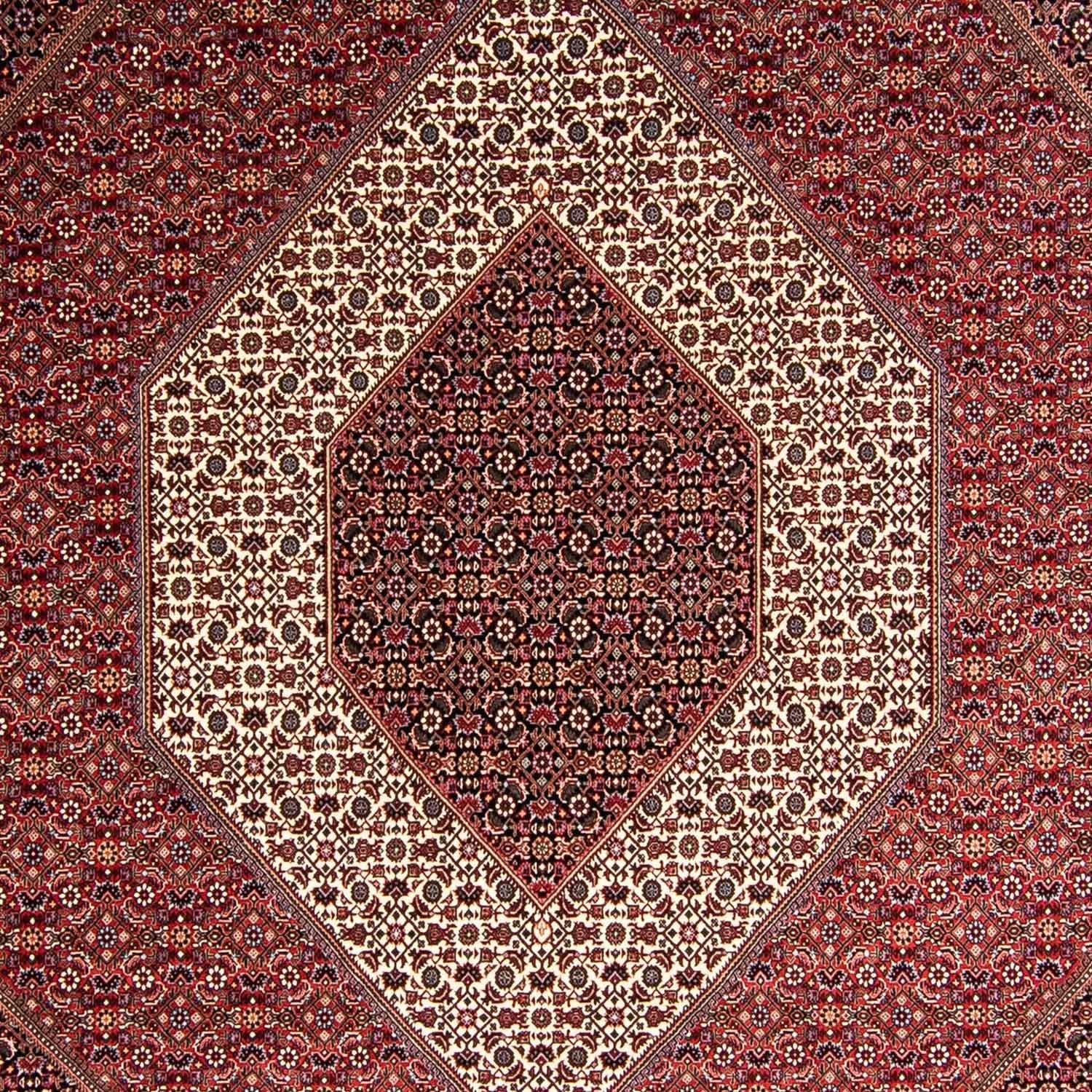 Tappeto Persero - Bidjar - 354 x 248 cm - rosso chiaro